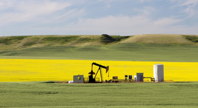 Alberta oil